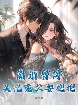 离婚暂停,失忆老公要抱抱
