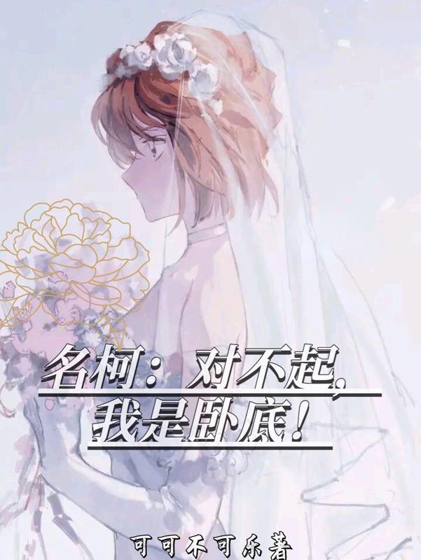 名柯:对不起,我是卧底!