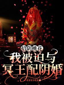 冥王妻,以血养冥符