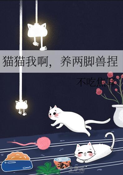 猫猫我啊,养两脚兽捏