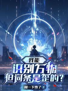 我能识别万物,但词条是歪的?